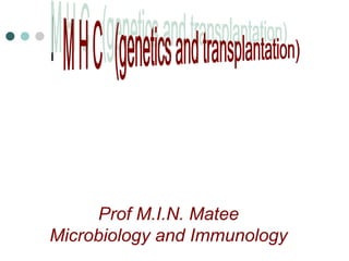 M H C  (genetics and transplantation) Prof M.I.N. Matee Microbiology and Immunology 