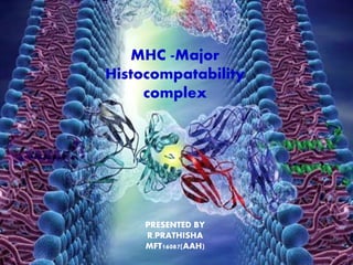 MHC -Major
Histocompatability
complex
PRESENTED BY
R.PRATHISHA
MFT16087(AAH)
 