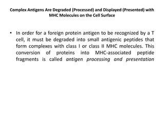 Complex Antigens Are Degraded (Processed) and Displayed (Presented) with
MHC Molecules on the Cell Surface
• In order for a foreign protein antigen to be recognized by a T
cell, it must be degraded into small antigenic peptides that
form complexes with class I or class II MHC molecules. This
conversion of proteins into MHC-associated peptide
fragments is called antigen processing and presentation
 