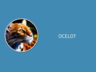 OCELOT
 