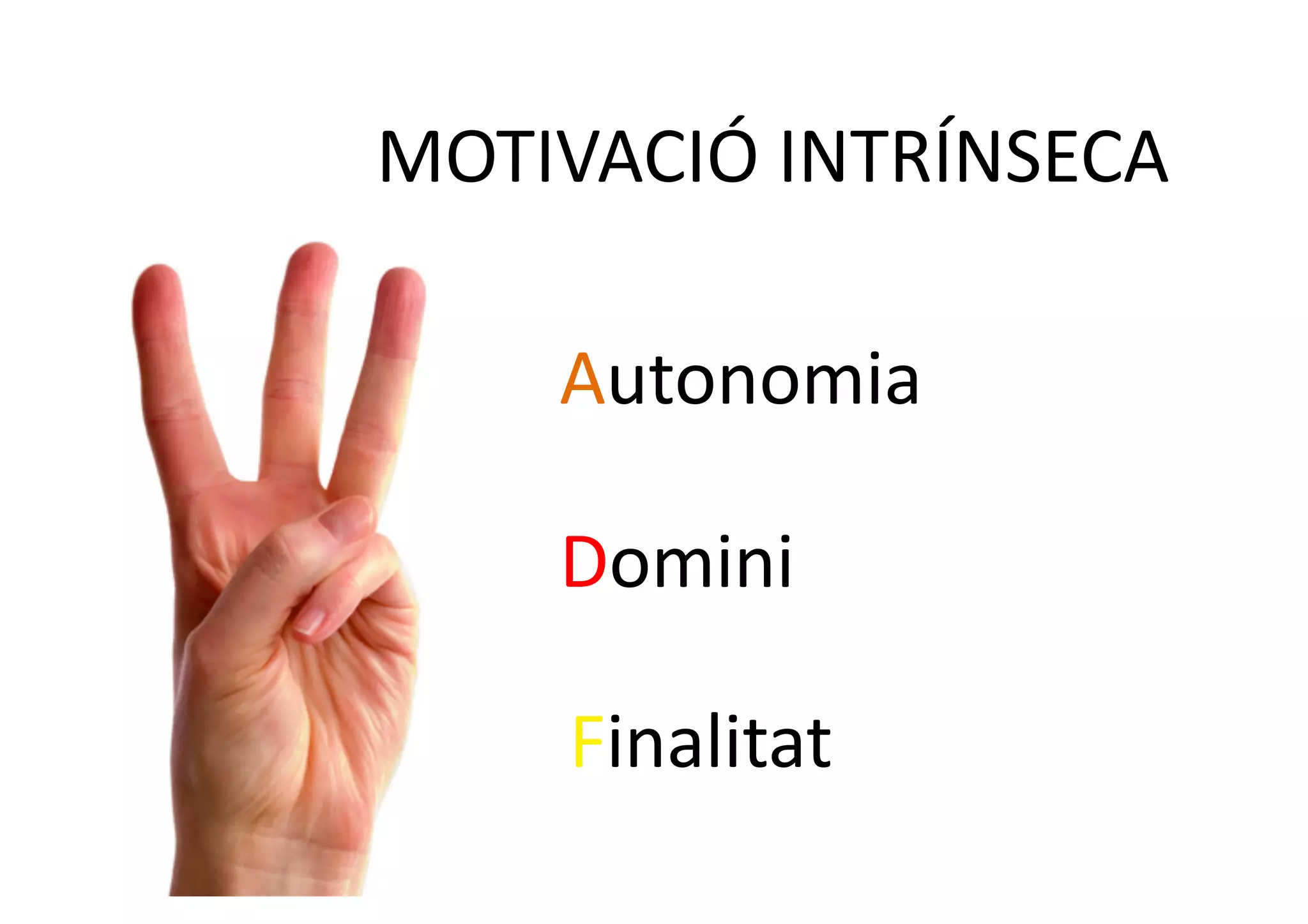MOTIVACIÓ	
  INTRÍNSECA	
  

      Autonomia	
  

      Domini	
  

      Finalitat	
  
 