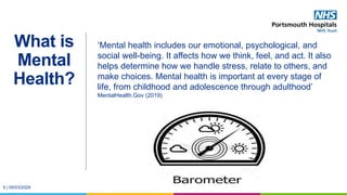 MH in the work place - Anita DeHavilland.pptx