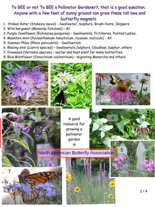 2 / 4
A good
resource for
growing a
pollinator
garden
is
To BEE or not To BEE a Pollinator Gardener?; that is a good quest...