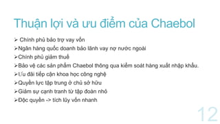 Thuận lợi và ưu điểm của Chaebol
 Chính phủ bảo trợ vay vốn
Ngân hàng quốc doanh bảo lãnh vay nợ nước ngoài
Chính phủ giảm thuế
Bảo vệ các sản phẩm Chaebol thông qua kiểm soát hàng xuất nhập khẩu.
Ưu đãi tiếp cận khoa học công nghệ
Quyền lực tập trung ở chủ sở hữu
Giảm sự cạnh tranh từ tập đoàn nhỏ
Độc quyền -> tích lũy vốn nhanh
 