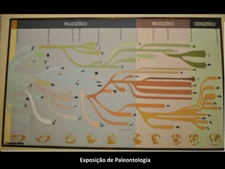 Exposição de Paleontologia
 