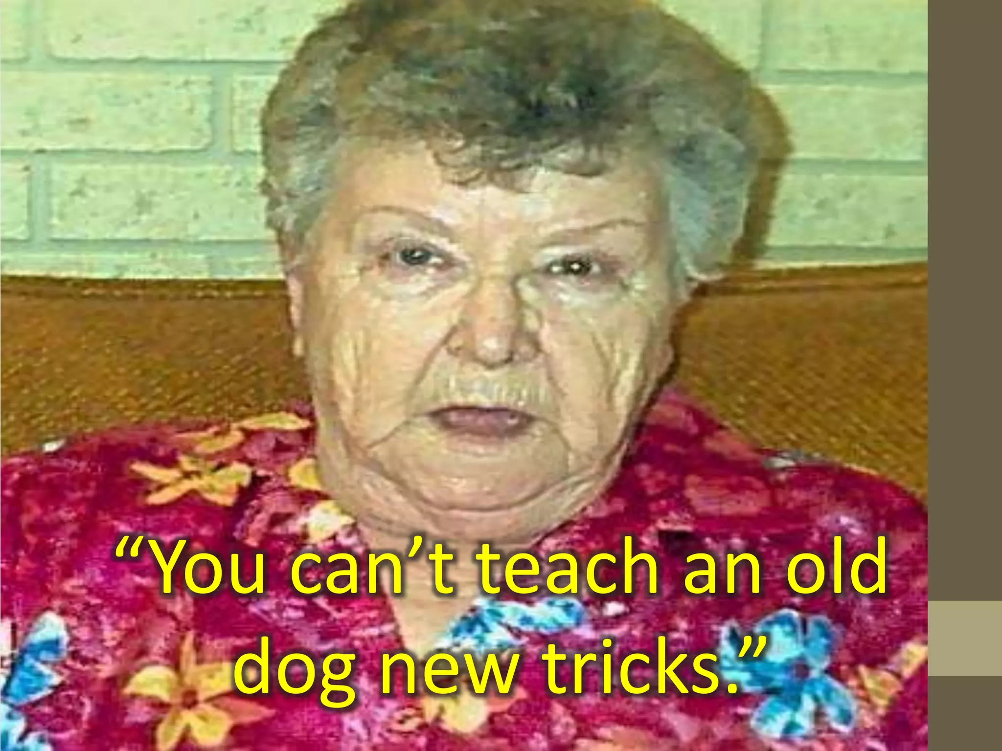 “You can’t teach an old
dog new tricks.”
 