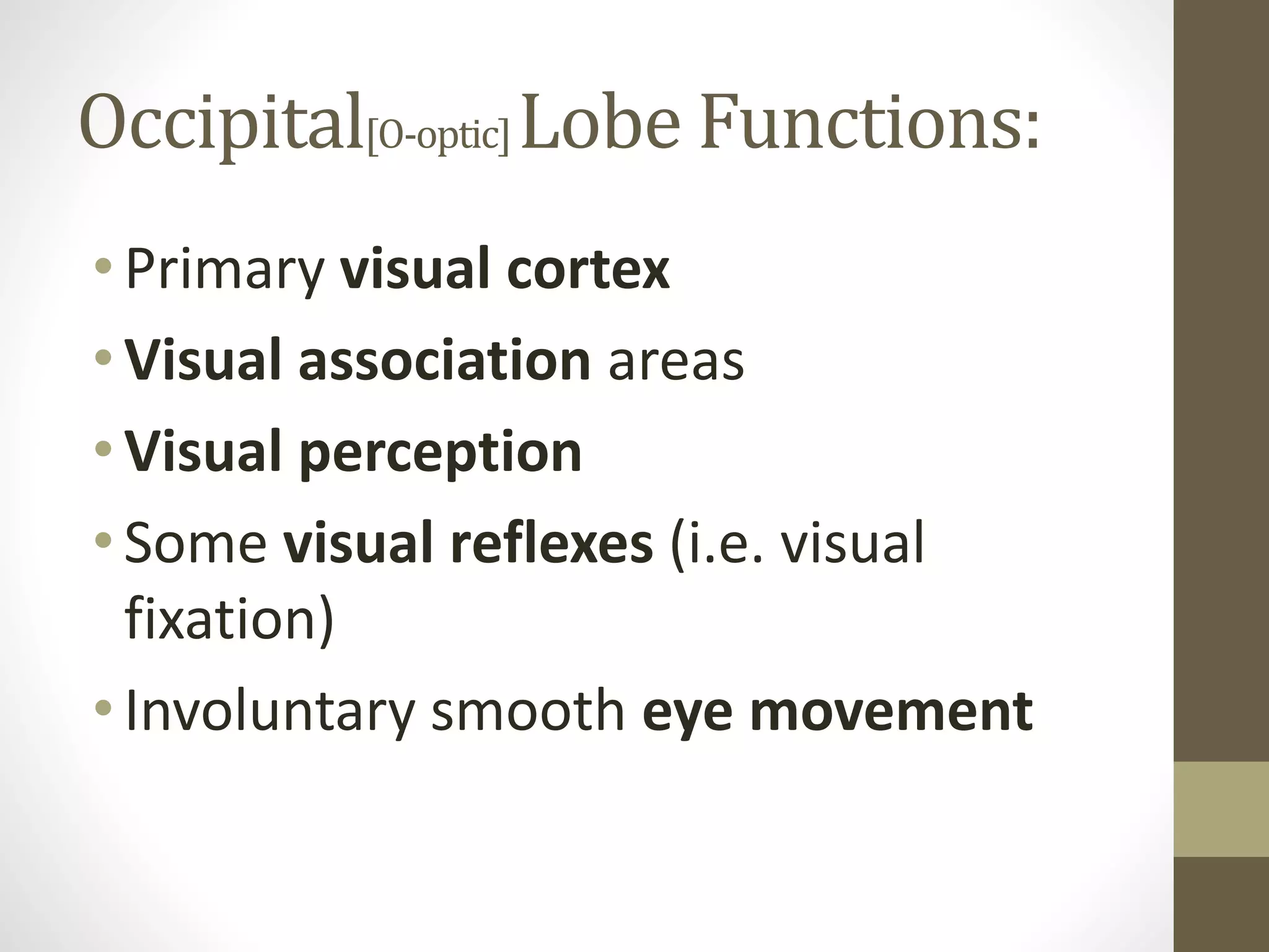 Occipital[O-optic]Lobe Functions:
• Primary visual cortex
• Visual association areas
• Visual perception
• Some visual reflexes (i.e. visual
fixation)
• Involuntary smooth eye movement
 