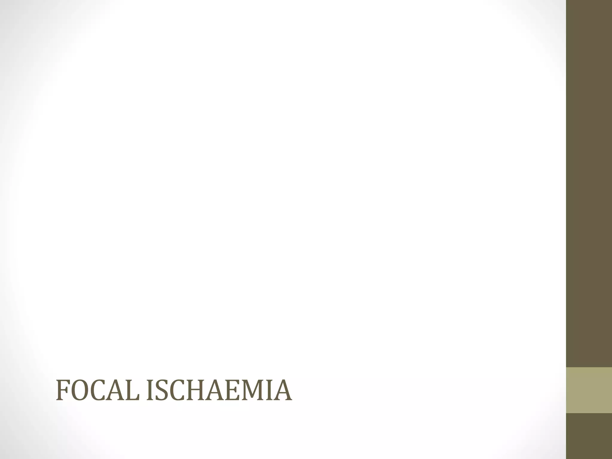 FOCAL ISCHAEMIA
 