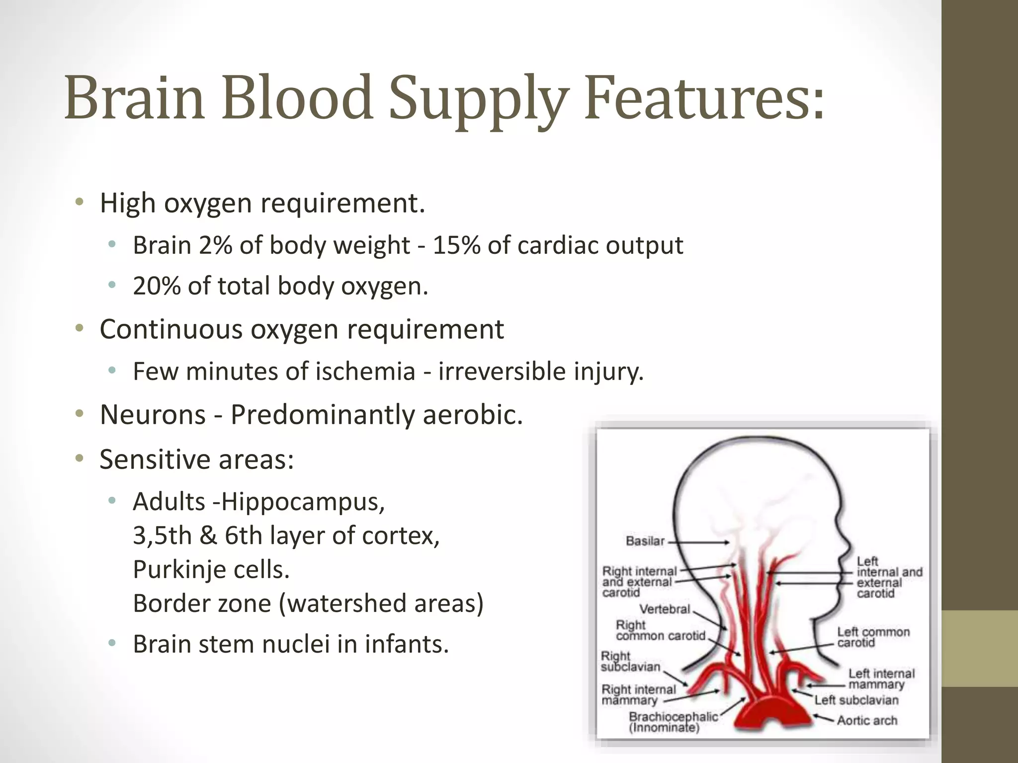 Brain Blood Supply Features:
• High oxygen requirement.
• Brain 2% of body weight - 15% of cardiac output
• 20% of total body oxygen.
• Continuous oxygen requirement
• Few minutes of ischemia - irreversible injury.
• Neurons - Predominantly aerobic.
• Sensitive areas:
• Adults -Hippocampus,
3,5th & 6th layer of cortex,
Purkinje cells.
Border zone (watershed areas)
• Brain stem nuclei in infants.
 