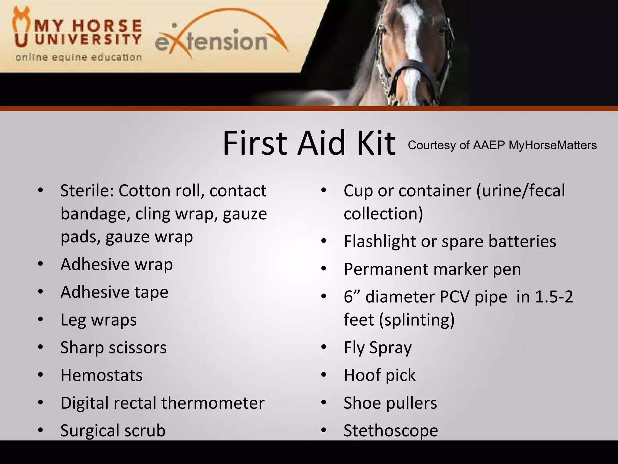 Equine Emergency First Aid (Marteniuk)