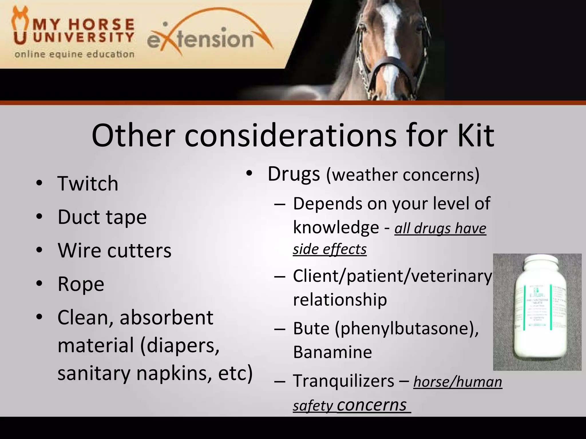 Equine Emergency First Aid (Marteniuk)