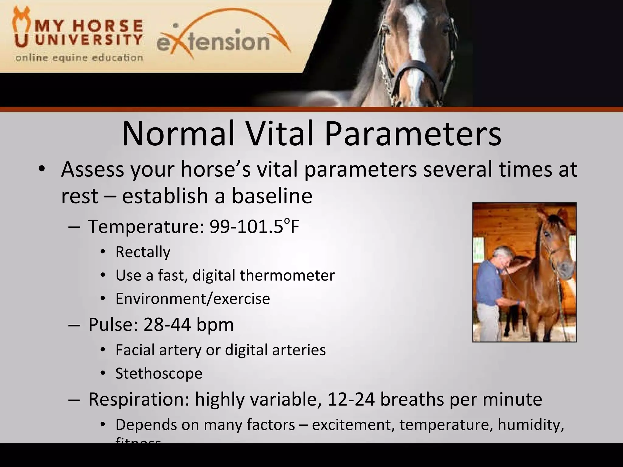 Equine Emergency First Aid (Marteniuk)