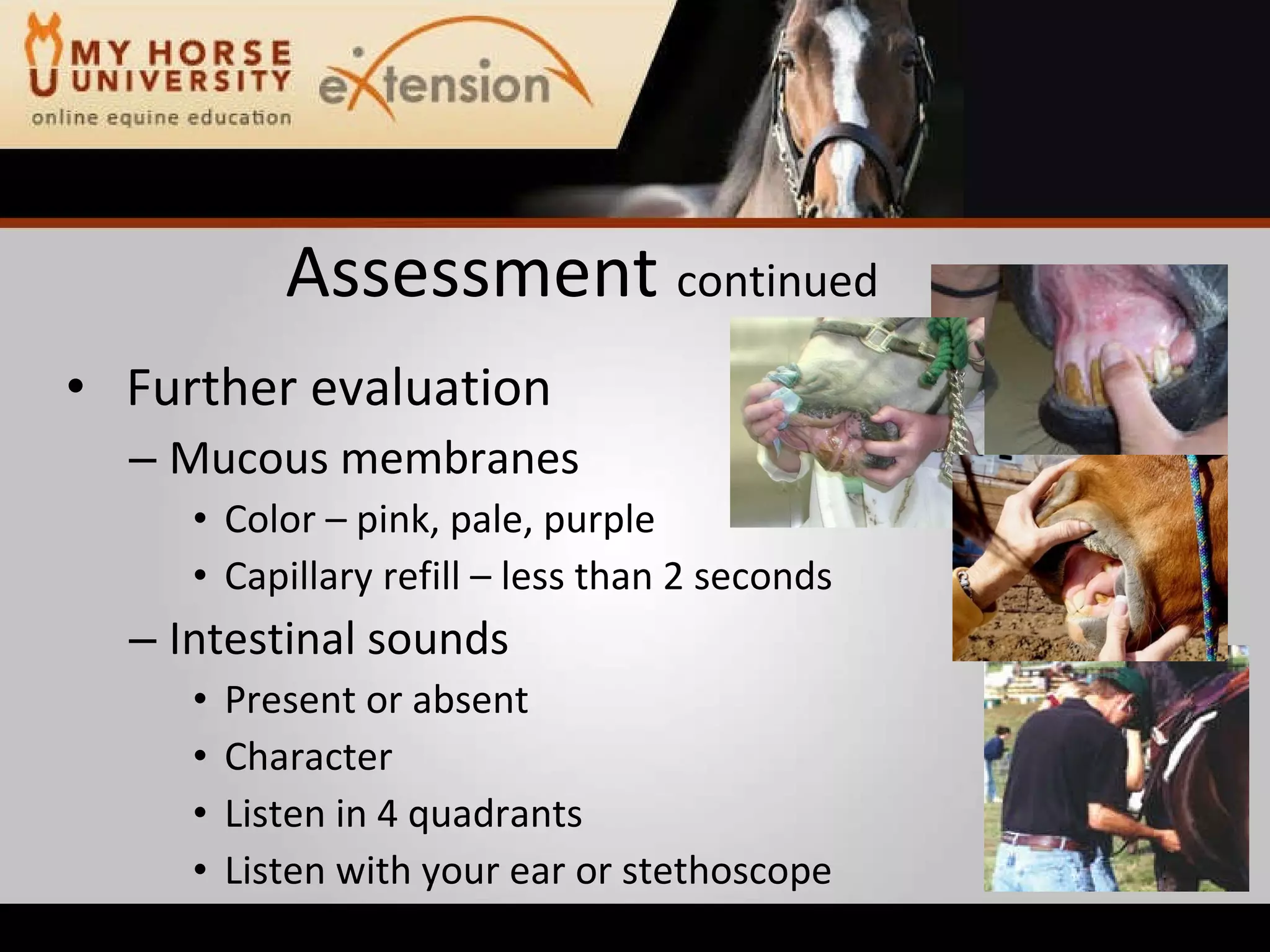 Equine Emergency First Aid (Marteniuk)