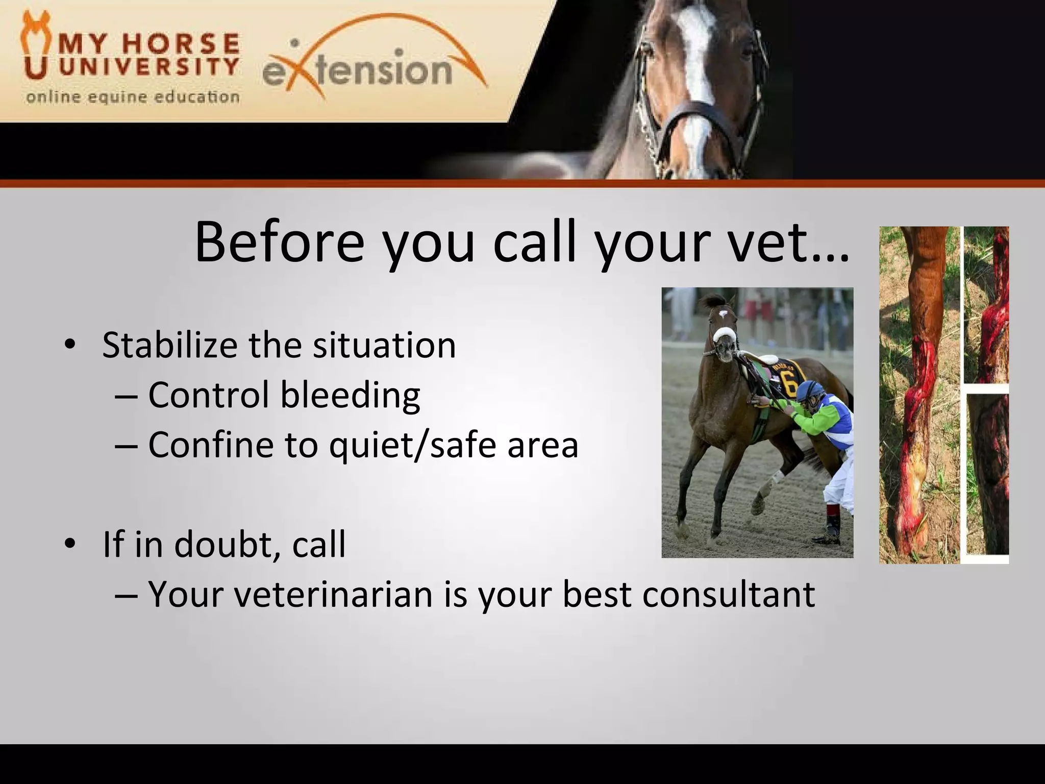 Equine Emergency First Aid (Marteniuk)