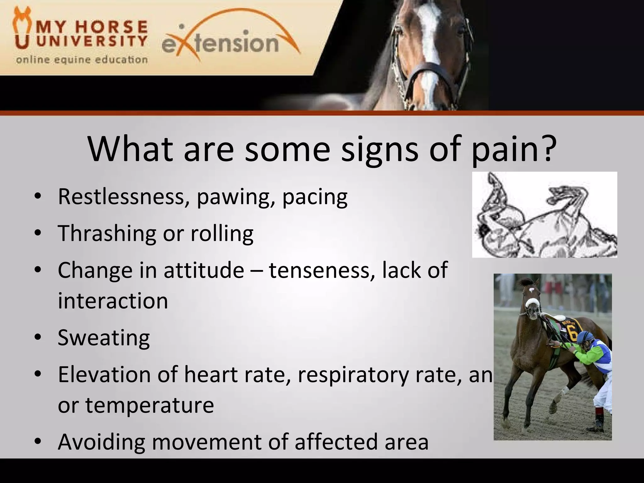 Equine Emergency First Aid (Marteniuk)