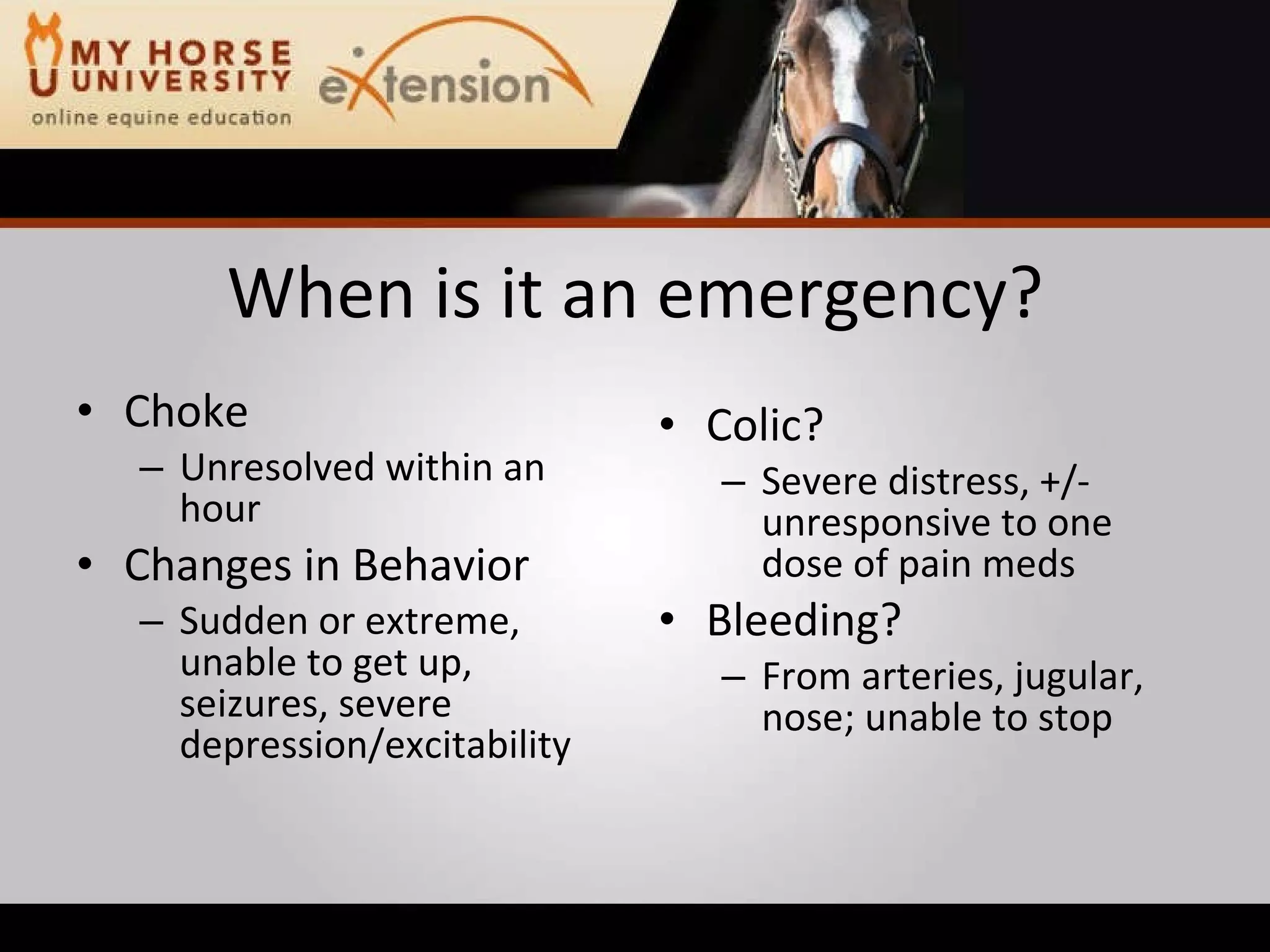 Equine Emergency First Aid (Marteniuk)