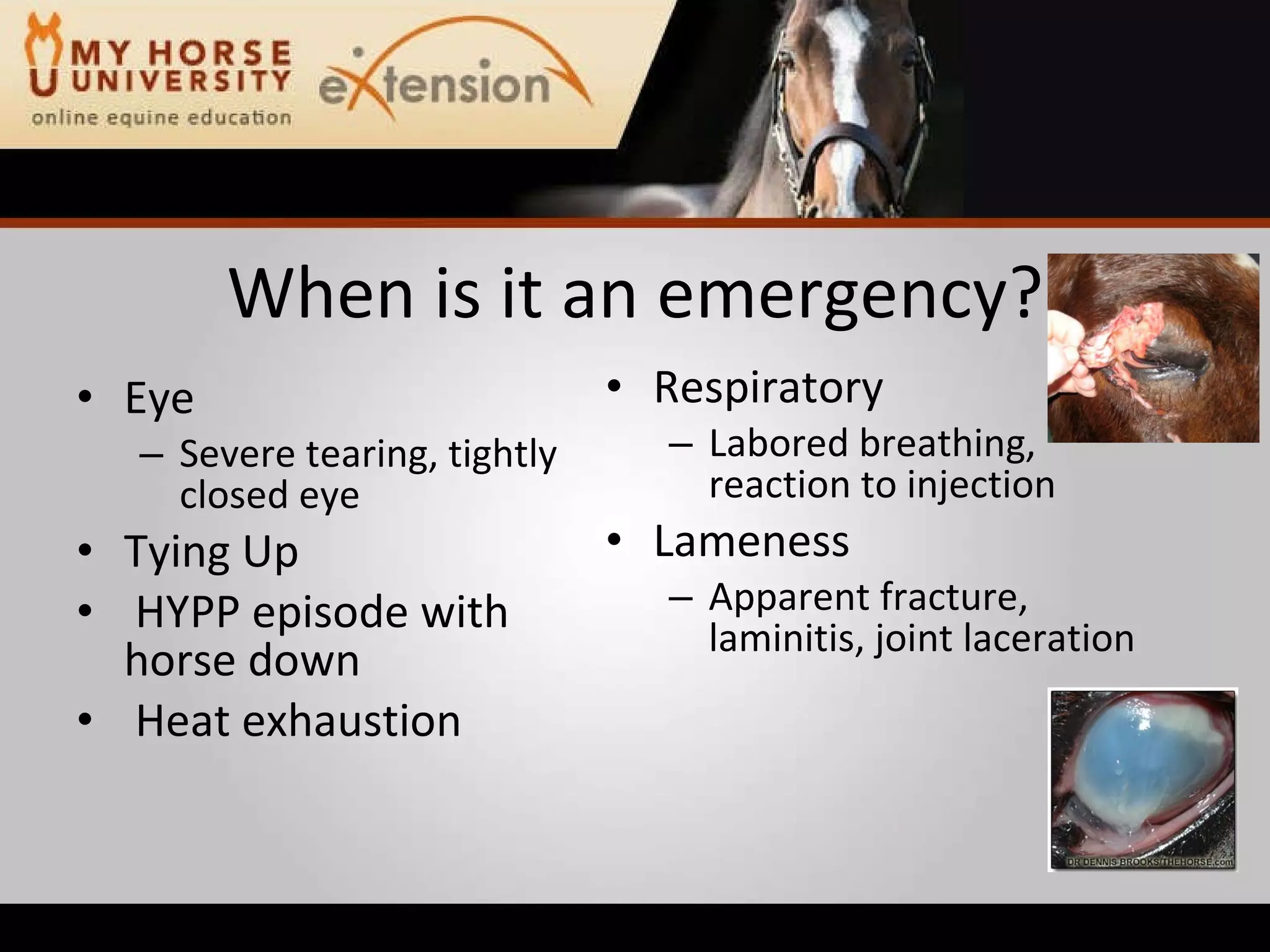 Equine Emergency First Aid (Marteniuk)
