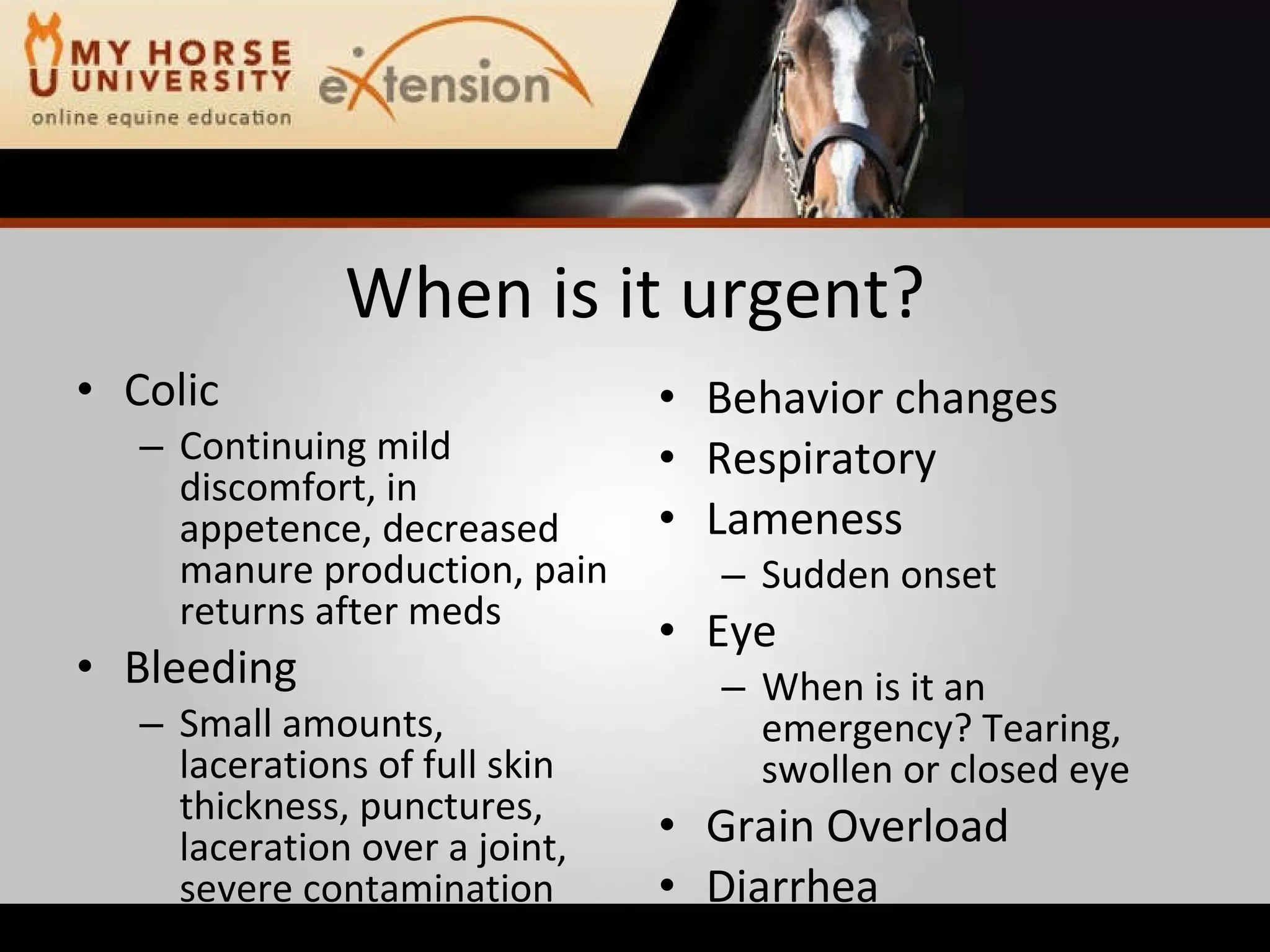Equine Emergency First Aid (Marteniuk)
