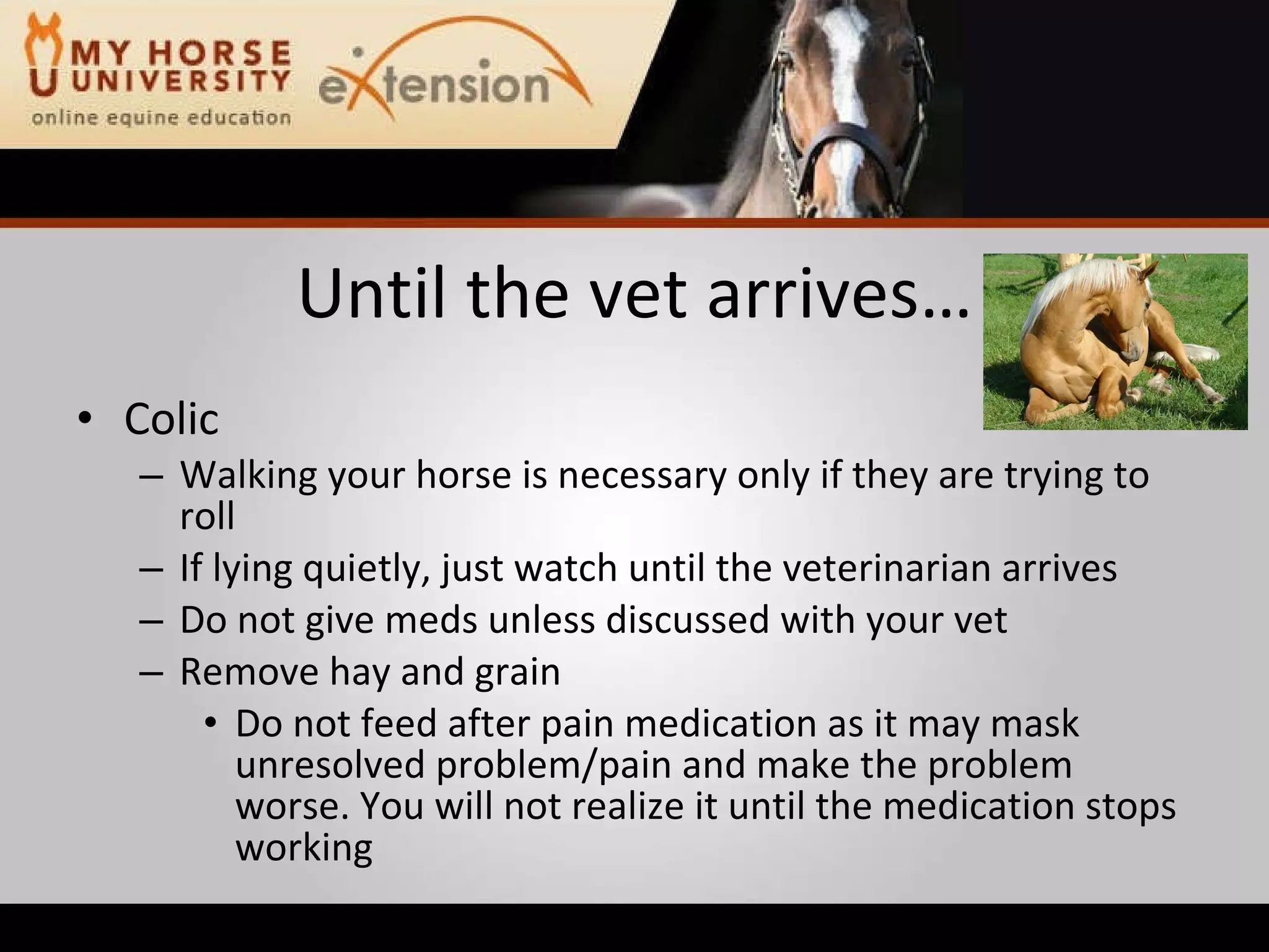 Equine Emergency First Aid (Marteniuk)