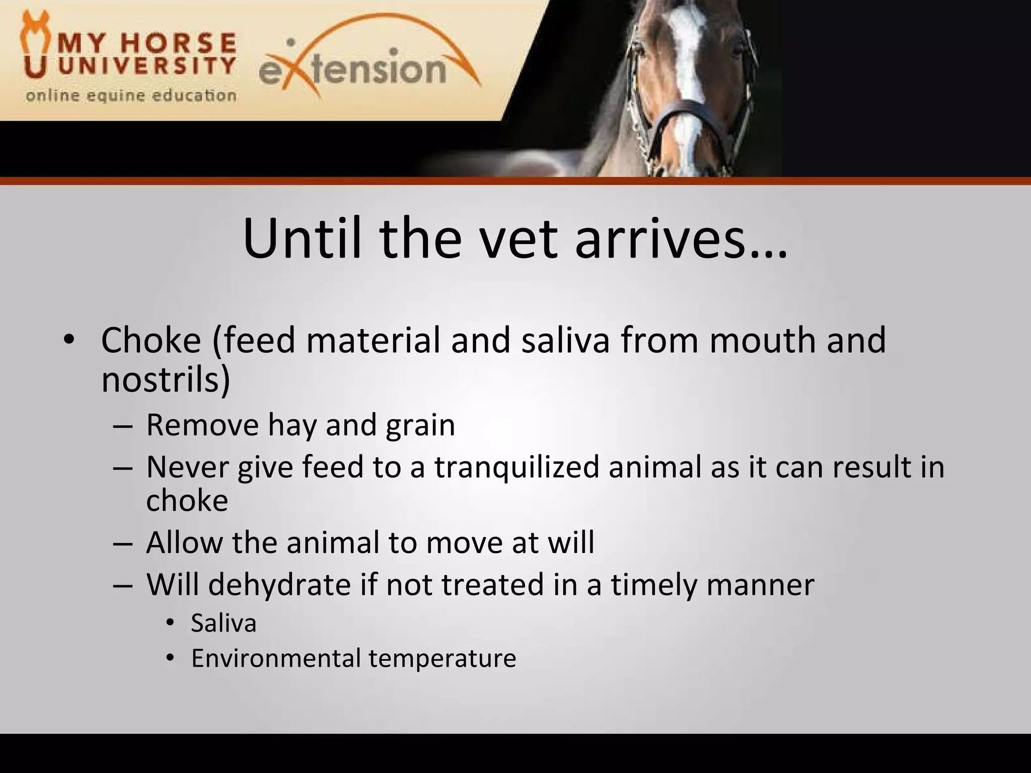 Equine Emergency First Aid (Marteniuk)