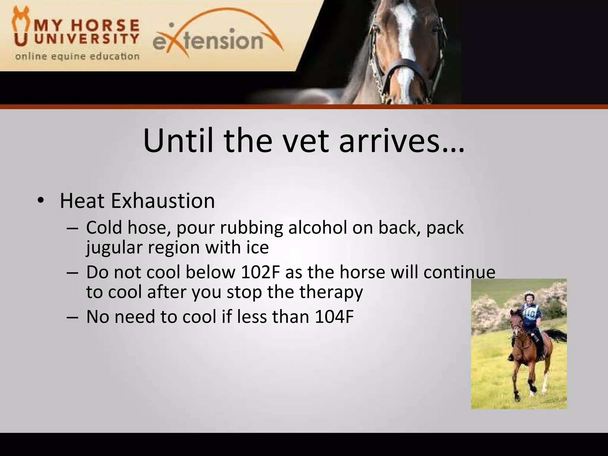 Equine Emergency First Aid (Marteniuk)