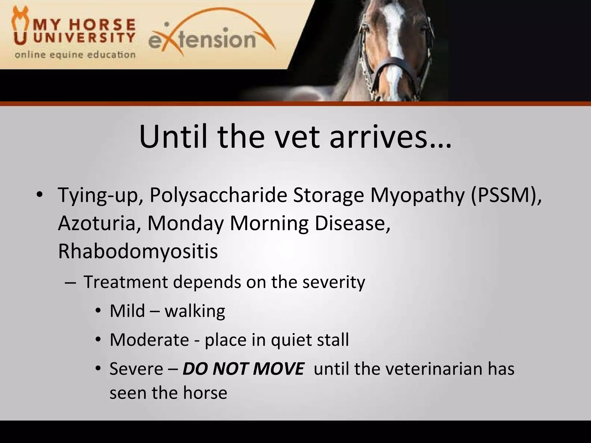 Equine Emergency First Aid (Marteniuk)