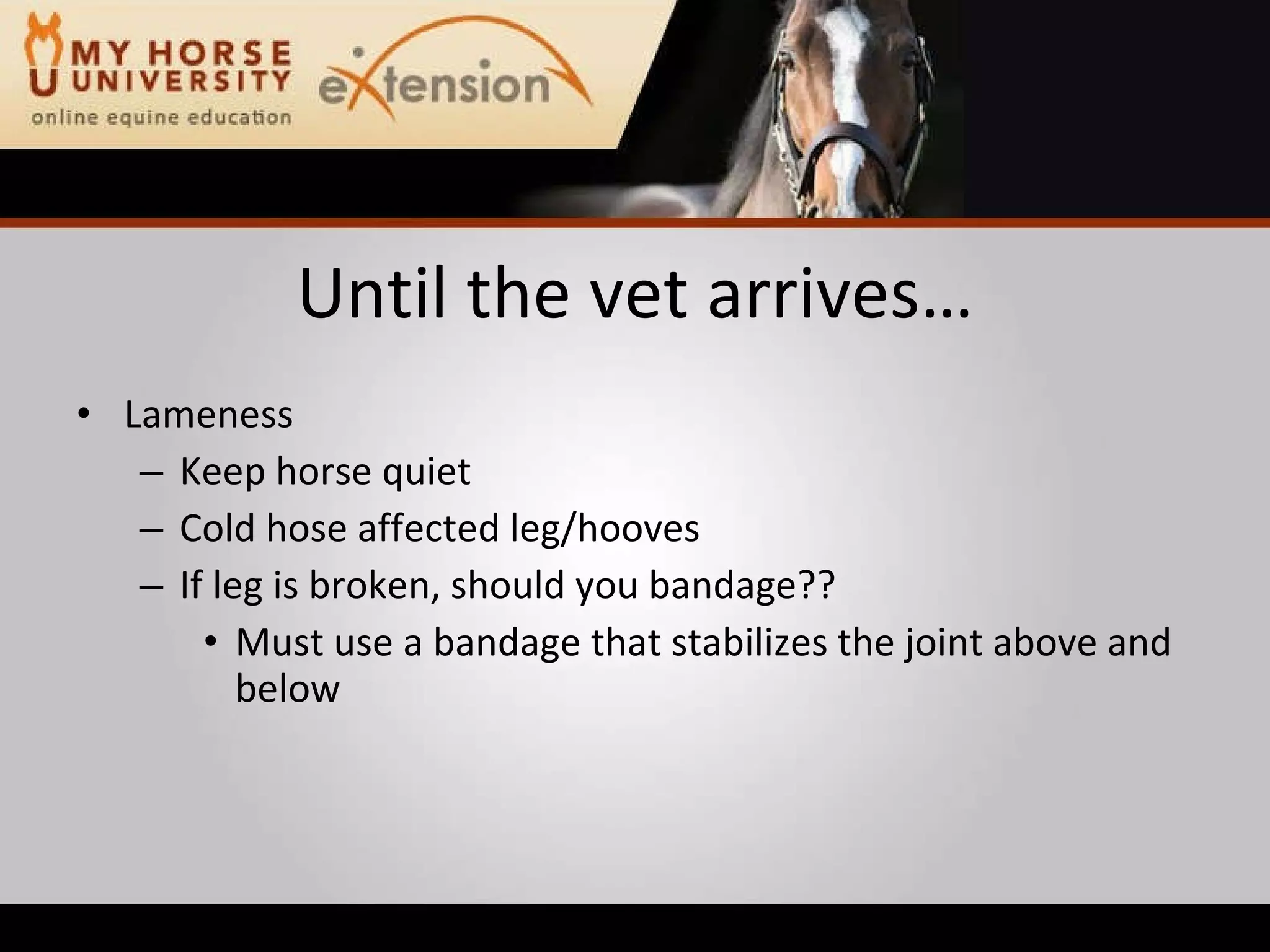 Equine Emergency First Aid (Marteniuk)