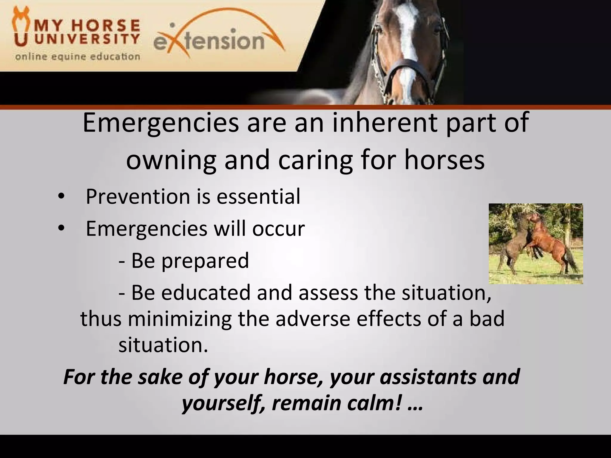 Equine Emergency First Aid (Marteniuk)
