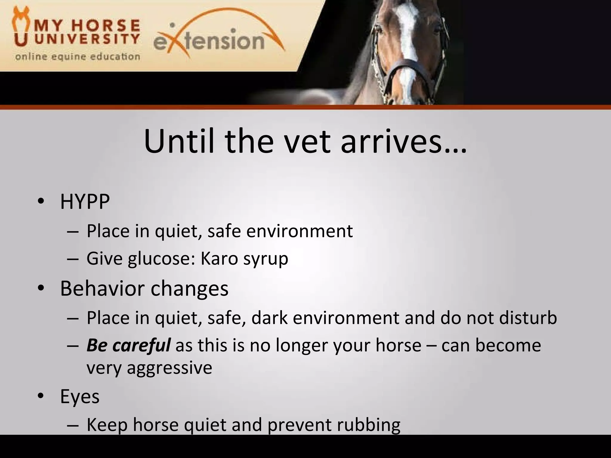 Equine Emergency First Aid (Marteniuk)