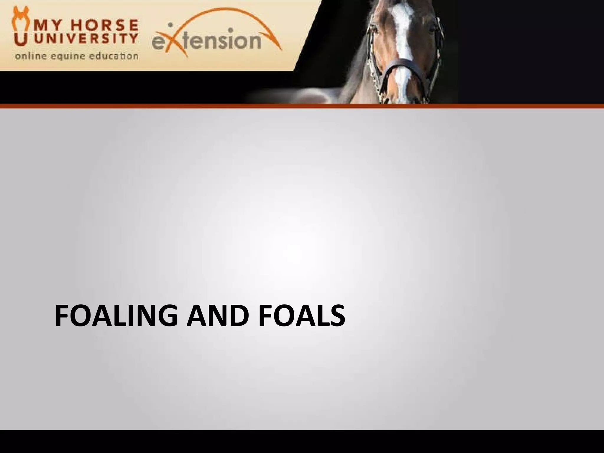 Equine Emergency First Aid (Marteniuk)