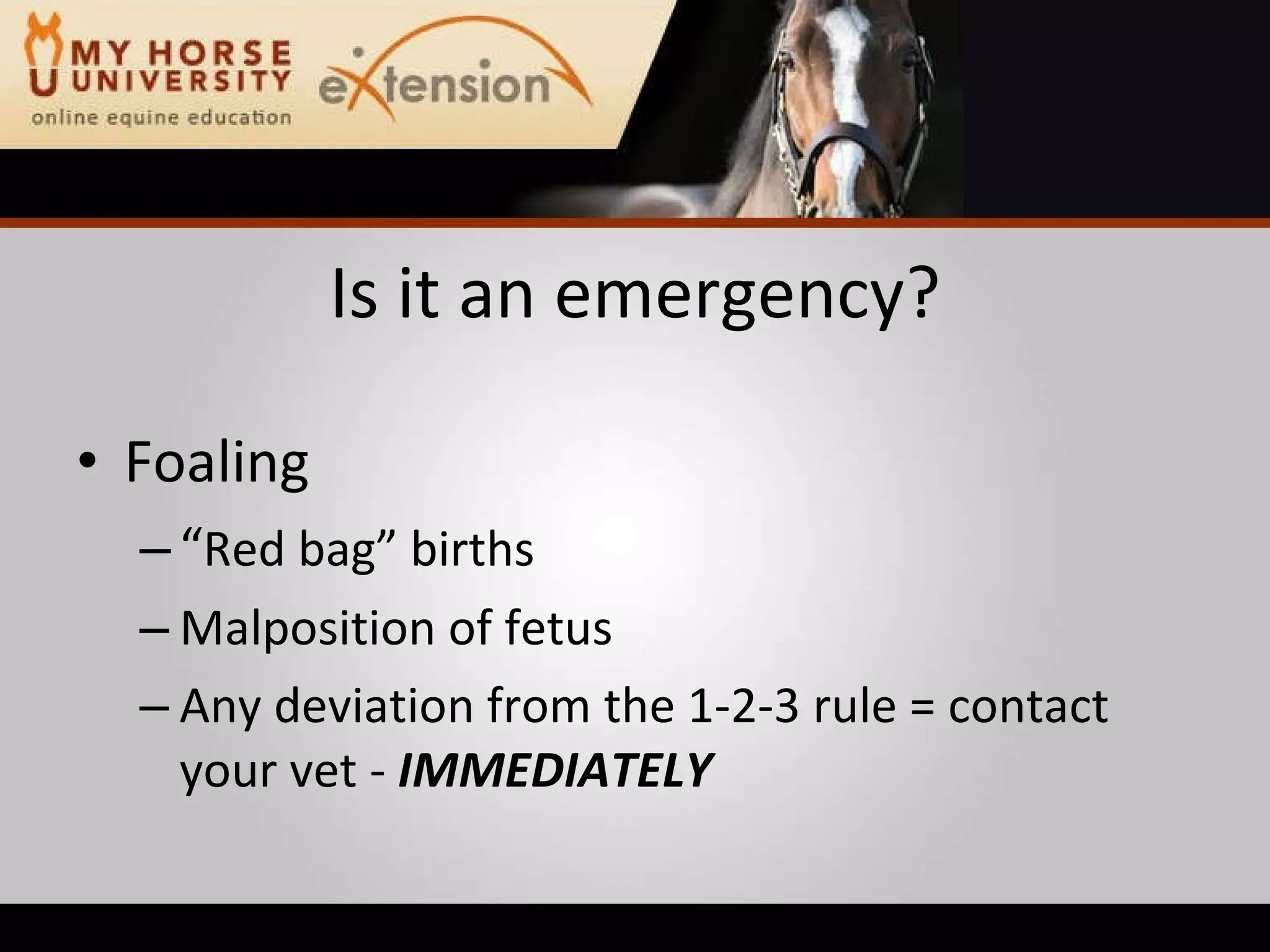 Equine Emergency First Aid (Marteniuk)