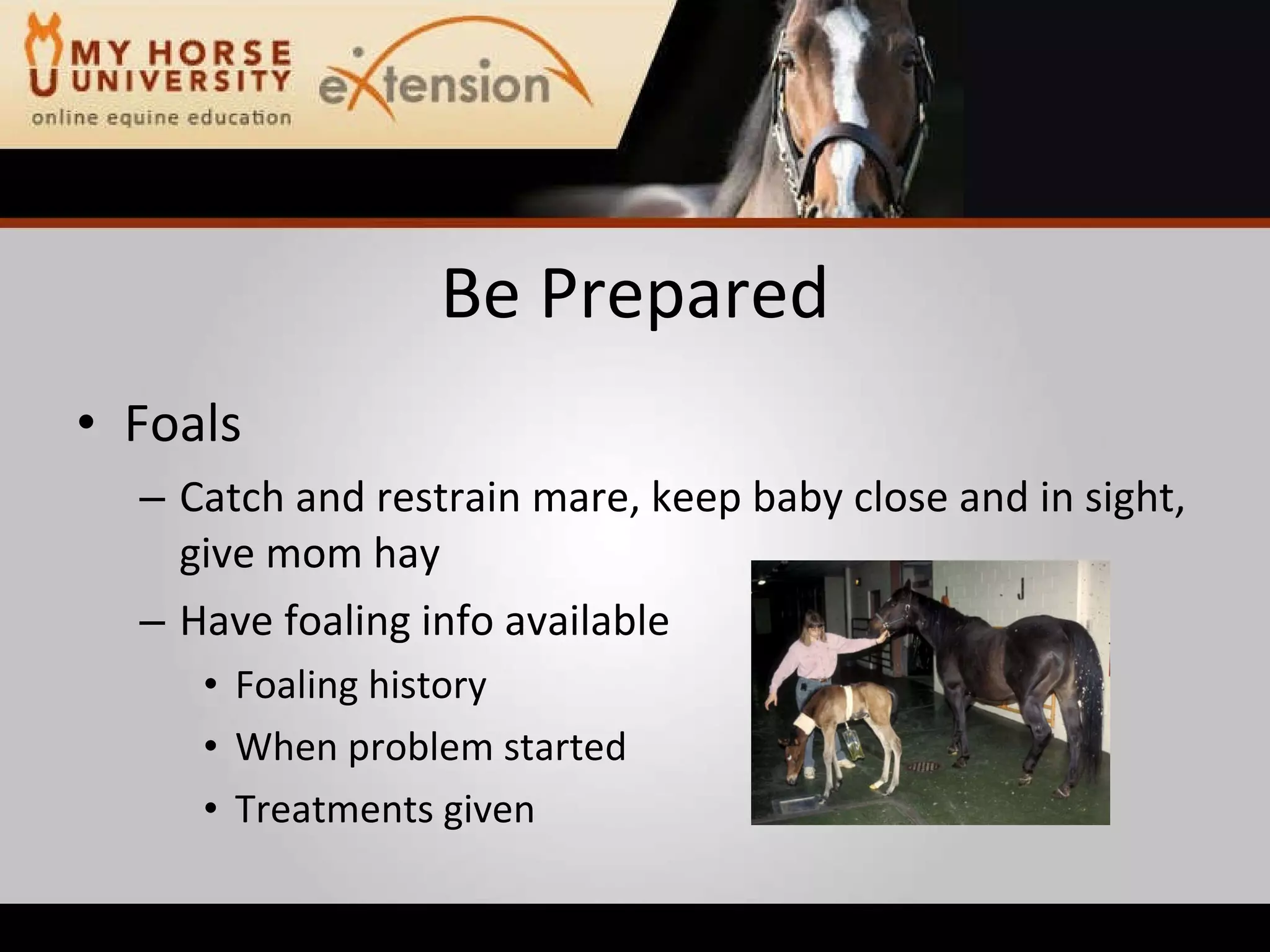 Equine Emergency First Aid (Marteniuk)