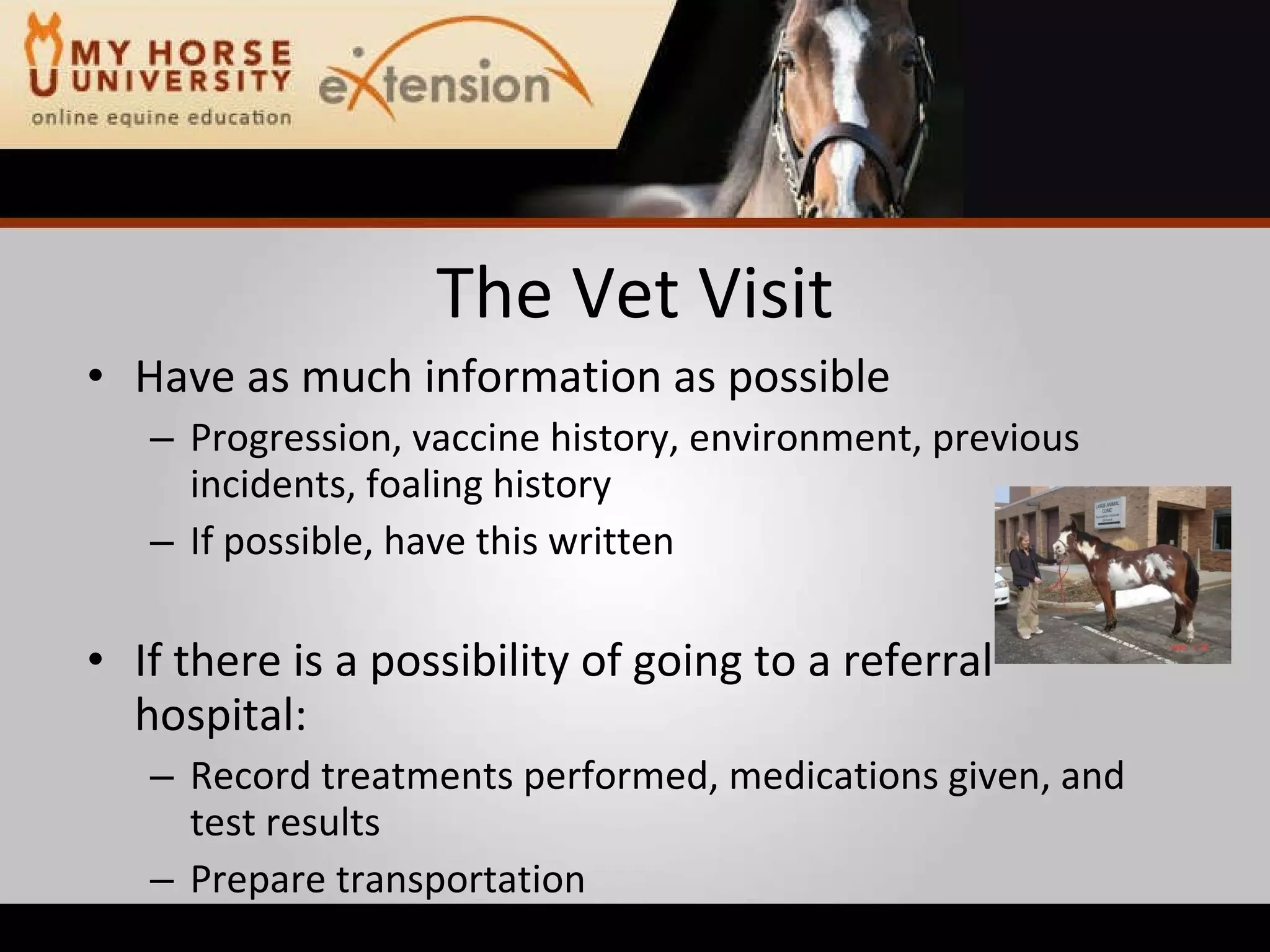 Equine Emergency First Aid (Marteniuk)