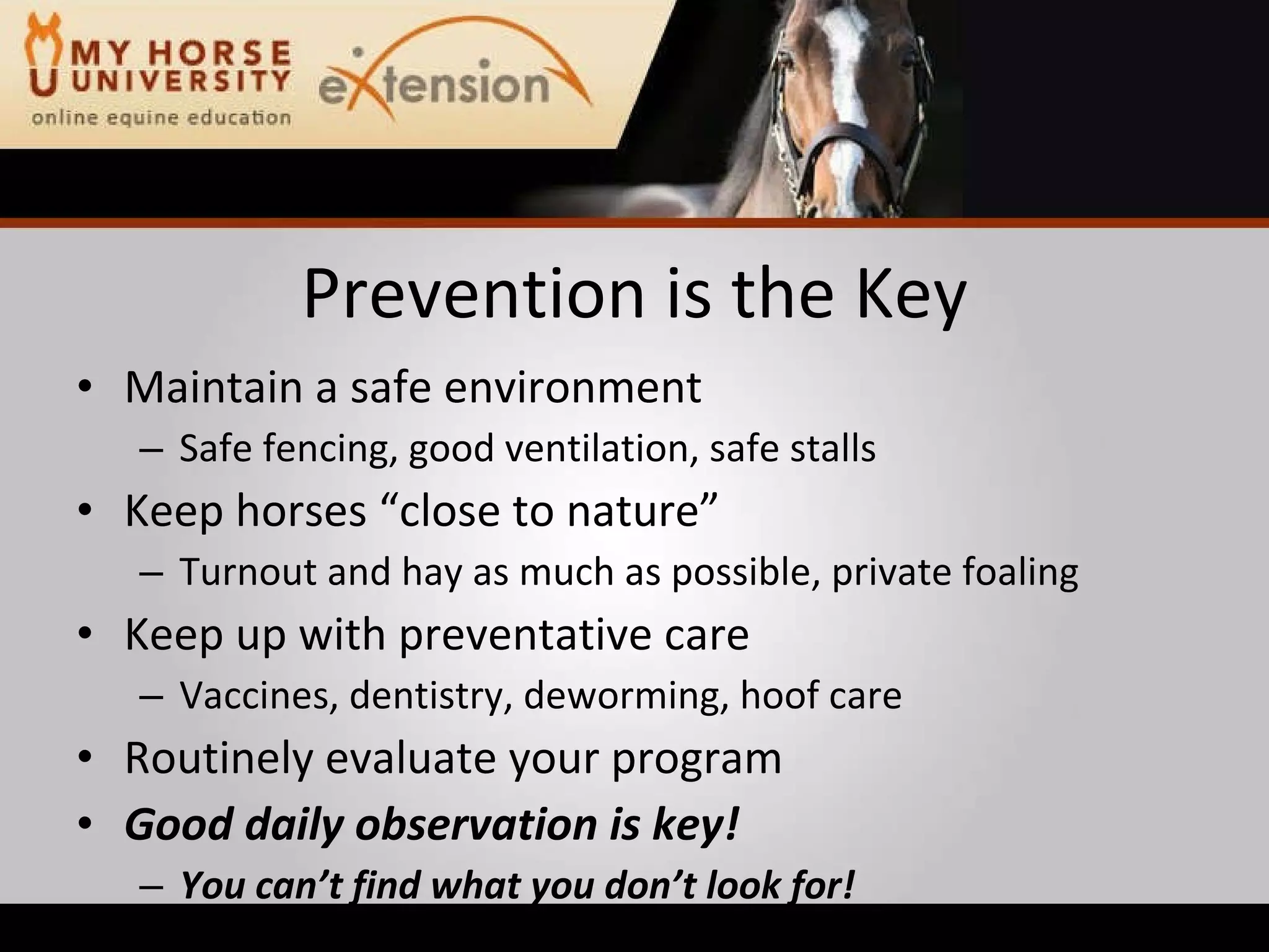 Equine Emergency First Aid (Marteniuk)