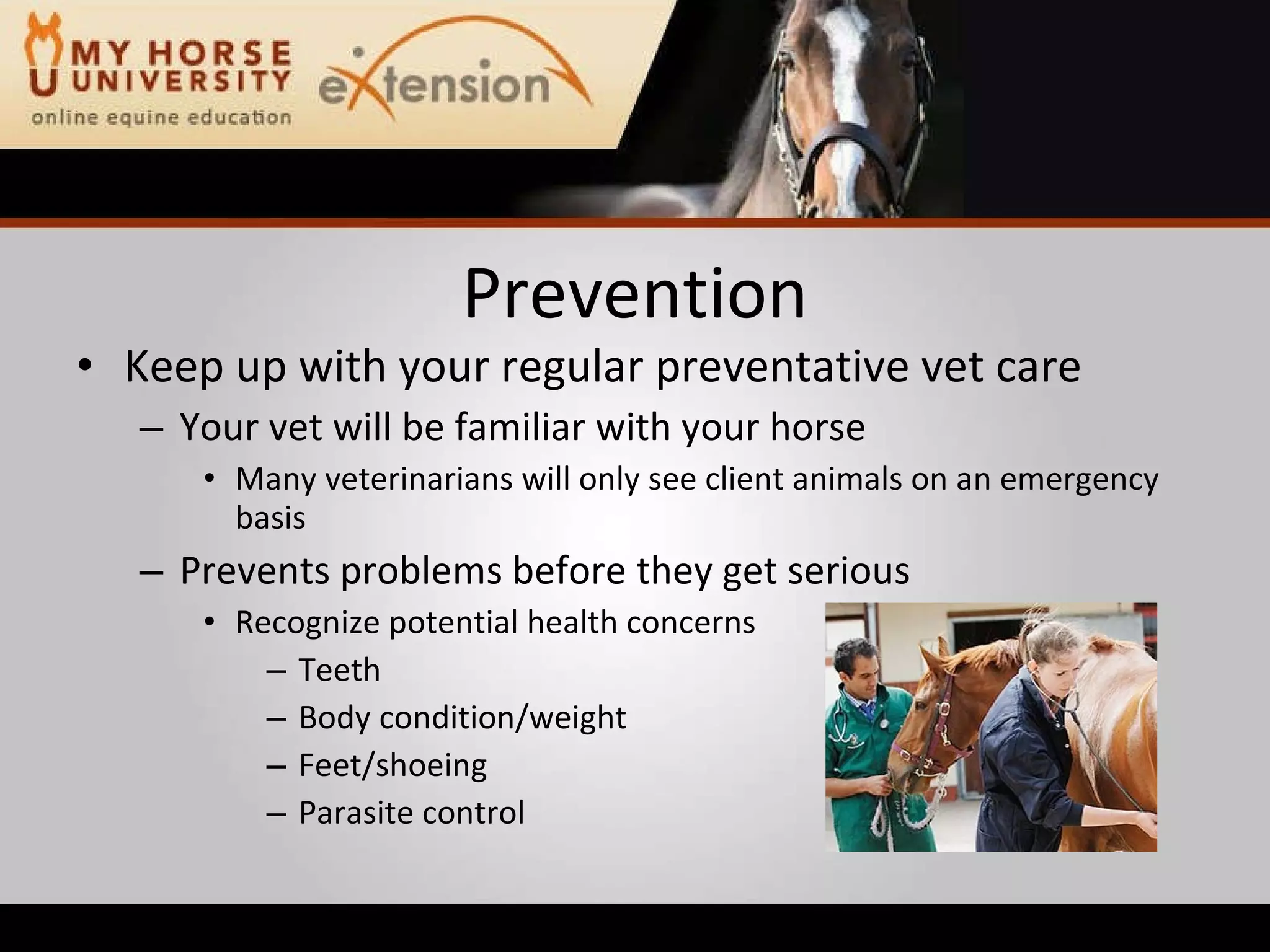 Equine Emergency First Aid (Marteniuk)