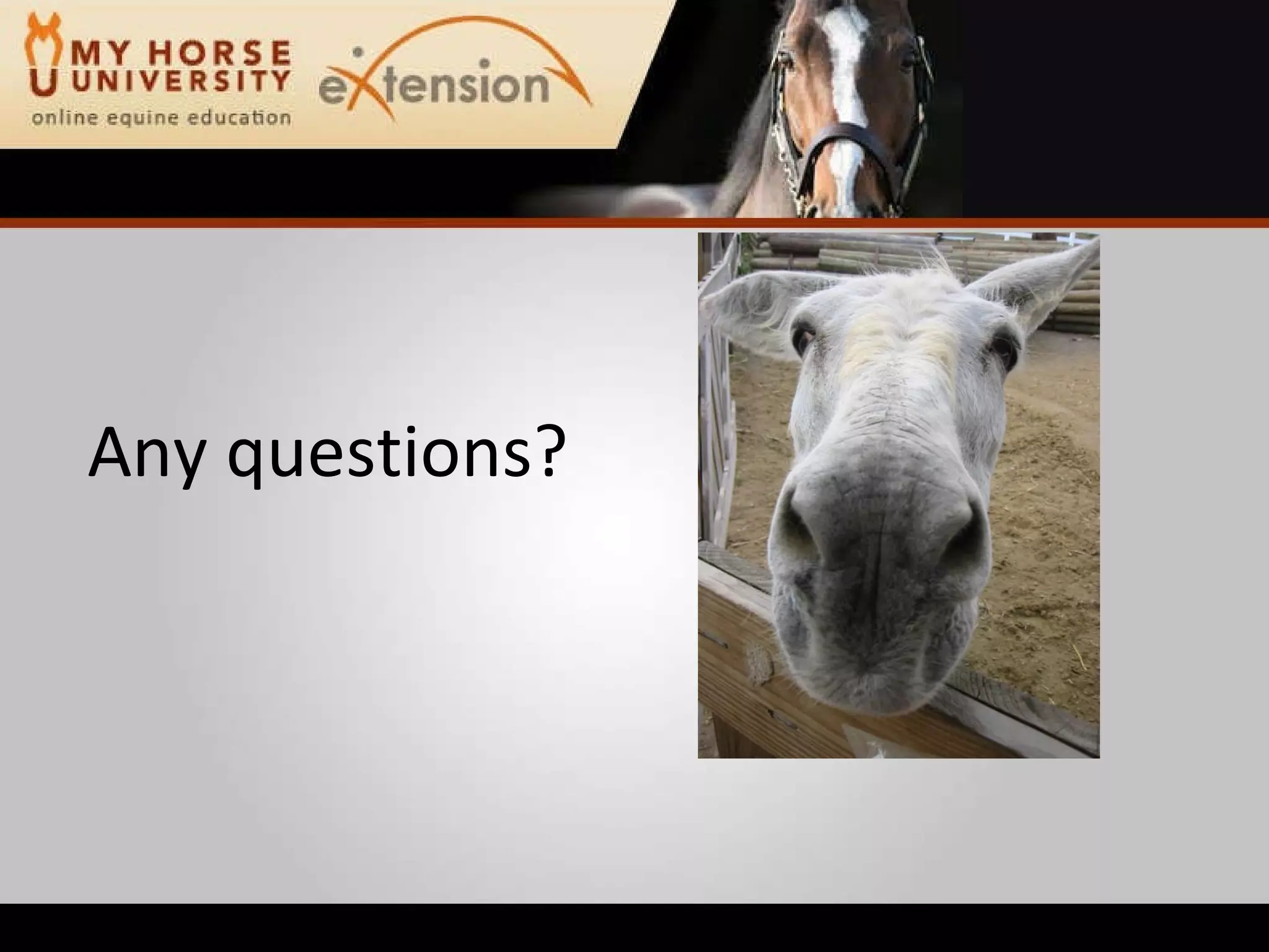 Equine Emergency First Aid (Marteniuk)