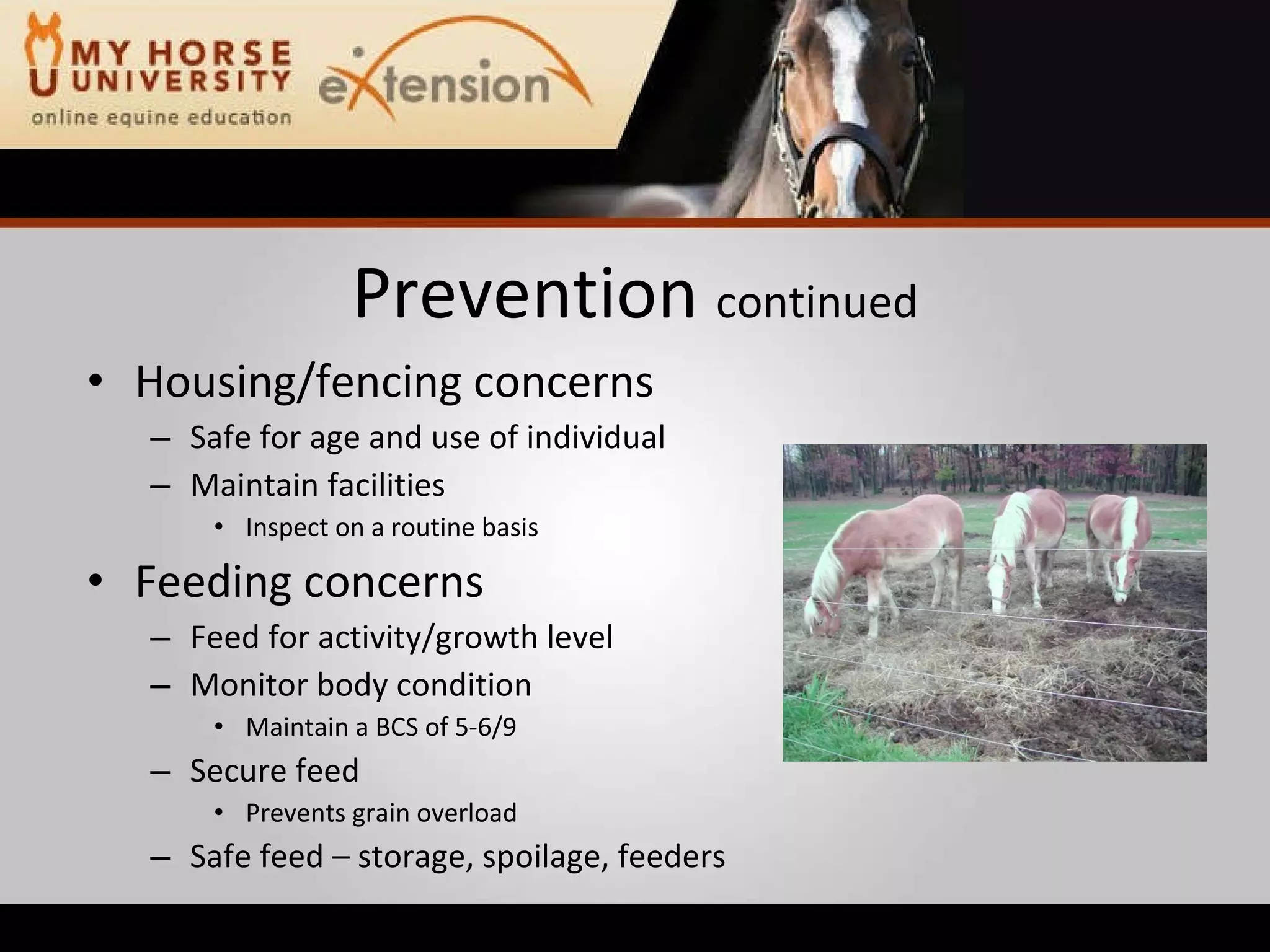 Equine Emergency First Aid (Marteniuk)