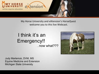 Equine Emergency First Aid (Marteniuk)