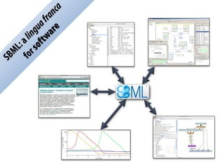 SBML:alinguafranca
forsoftware
 