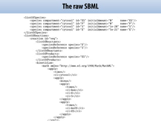 The raw SBML
 
