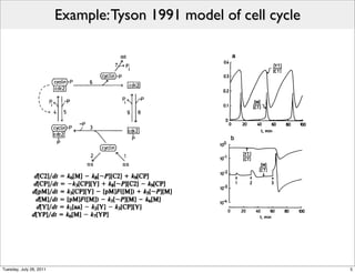 Example: Tyson 1991 model of cell cycle




Tuesday, July 26, 2011                                             5
 