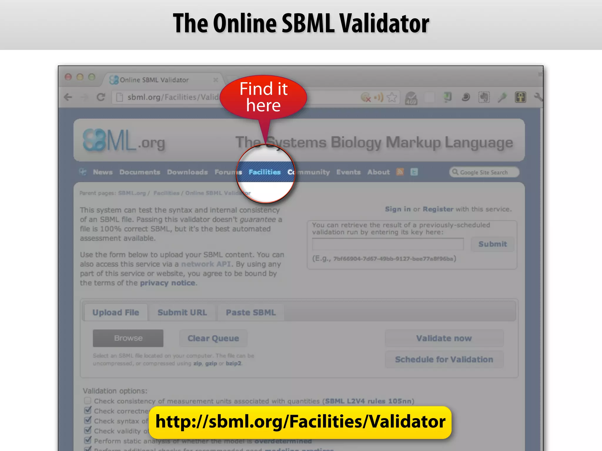 The Online SBML Validator

          Find it
           here




http://sbml.org/Facilities/Validator
 