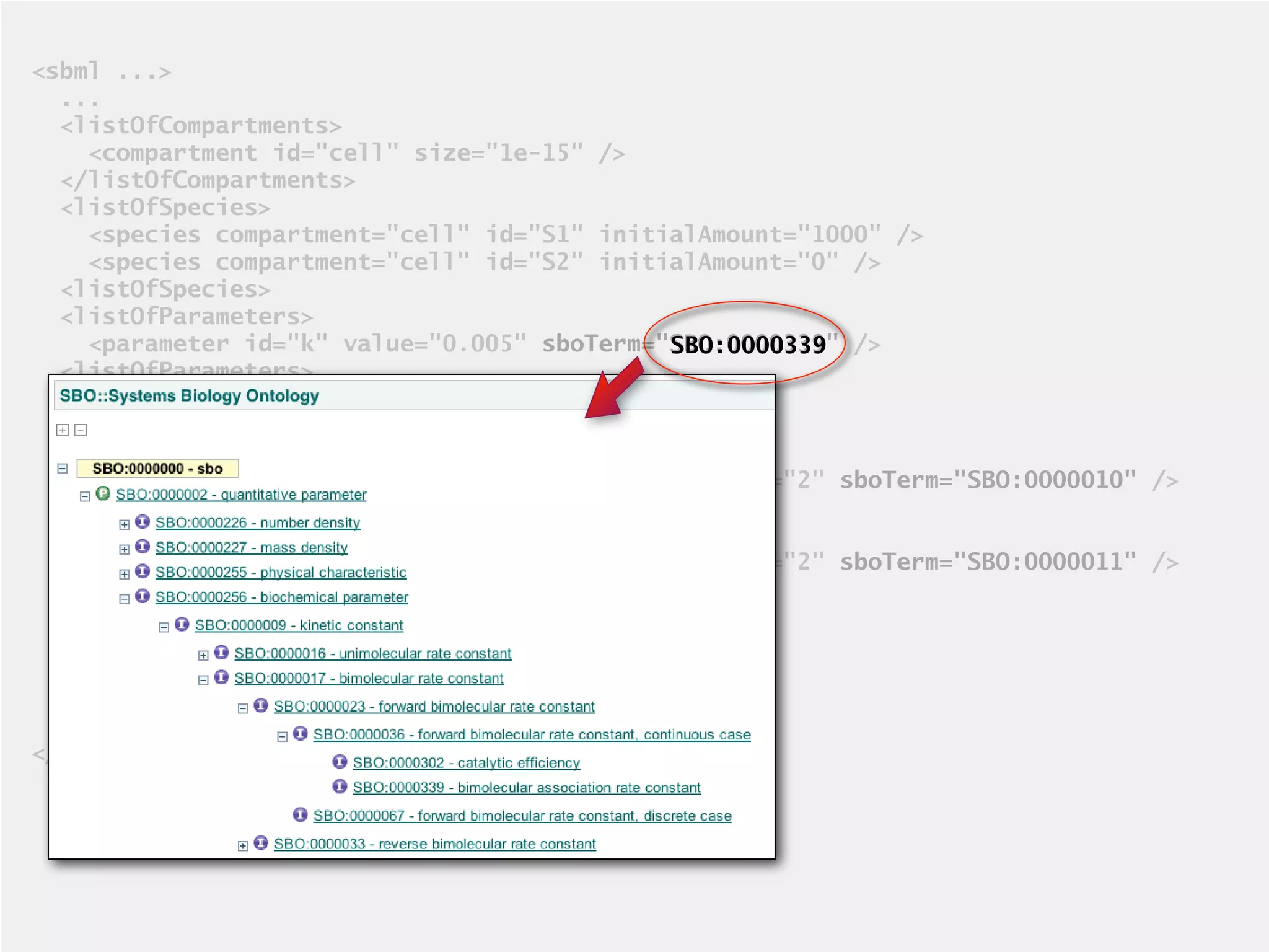 <sbml ...>
  ...
  <listOfCompartments>
    <compartment id="cell" size="1e-15" />
  </listOfCompartments>
  <listOfSpecies>
    <species compartment="cell" id="S1" initialAmount="1000" />
    <species compartment="cell" id="S2" initialAmount="0" />
  <listOfSpecies>
  <listOfParameters>
    <parameter id="k" value="0.005" sboTerm="SBO:0000339" />
                                             SBO:0000339
  <listOfParameters>
  <listOfReactions>
    <reaction id="r1" reversible="false">
      <listOfReactants>
        <speciesReference species="S1" stoichiometry="2" sboTerm="SBO:0000010" />
      </listOfReactants>
      <listOfProducts>
        <speciesReference species="S1" stoichiometry="2" sboTerm="SBO:0000011" />
      </listOfProducts>
      <kineticLaw sboTerm="SBO:0000052">
        <math>
         ...
        <math>
  ...
</sbml>
 
