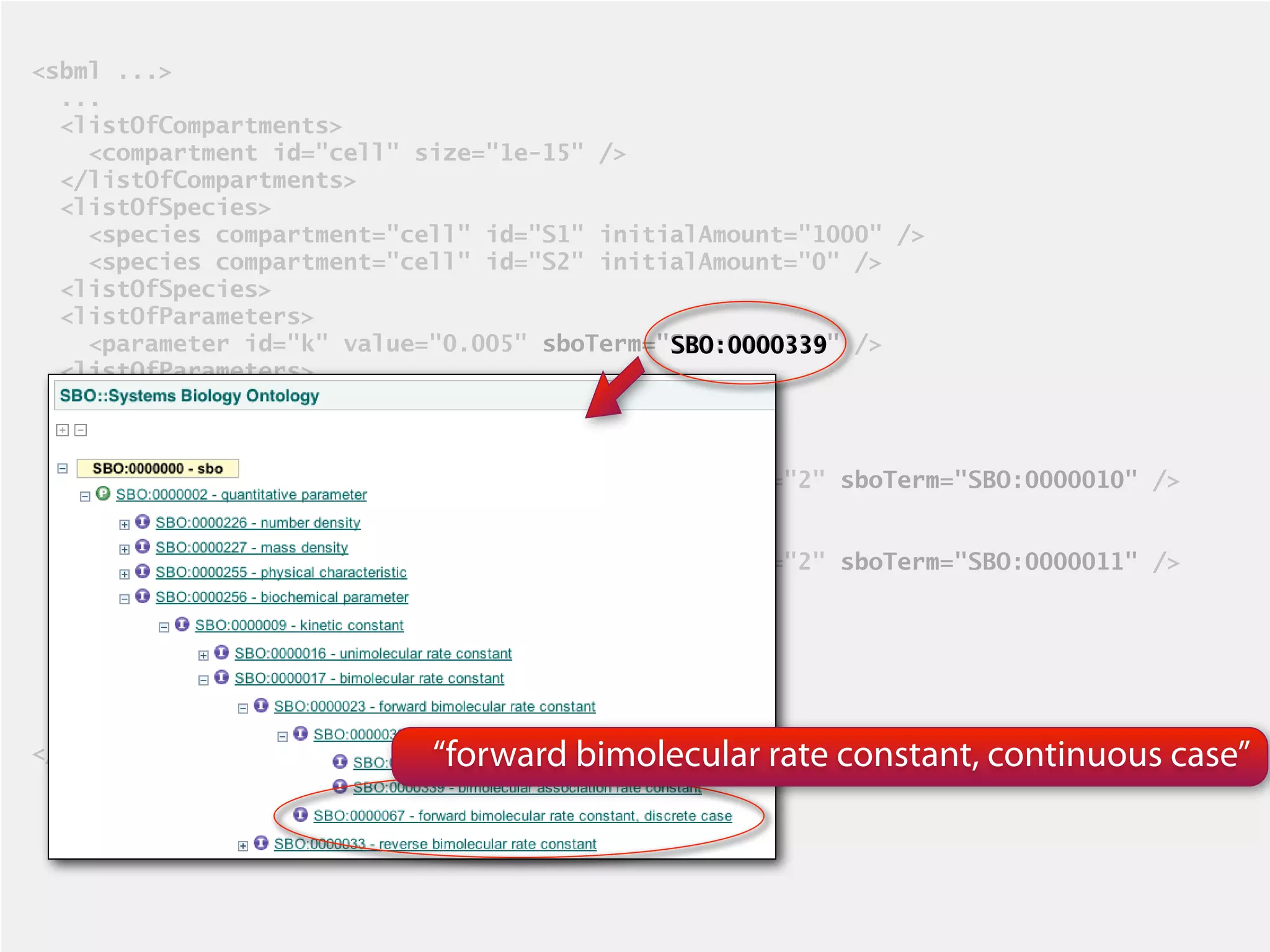<sbml ...>
  ...
  <listOfCompartments>
    <compartment id="cell" size="1e-15" />
  </listOfCompartments>
  <listOfSpecies>
    <species compartment="cell" id="S1" initialAmount="1000" />
    <species compartment="cell" id="S2" initialAmount="0" />
  <listOfSpecies>
  <listOfParameters>
    <parameter id="k" value="0.005" sboTerm="SBO:0000339" />
                                             SBO:0000339
  <listOfParameters>
  <listOfReactions>
    <reaction id="r1" reversible="false">
      <listOfReactants>
        <speciesReference species="S1" stoichiometry="2" sboTerm="SBO:0000010" />
      </listOfReactants>
      <listOfProducts>
        <speciesReference species="S1" stoichiometry="2" sboTerm="SBO:0000011" />
      </listOfProducts>
      <kineticLaw sboTerm="SBO:0000052">
        <math>
         ...
        <math>
  ...
</sbml>                     “forward bimolecular rate constant, continuous case”
 