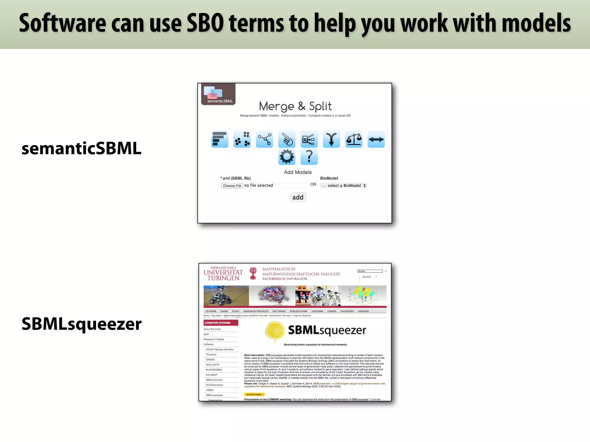 Software can use SBO terms to help you work with models



semanticSBML




SBMLsqueezer
 