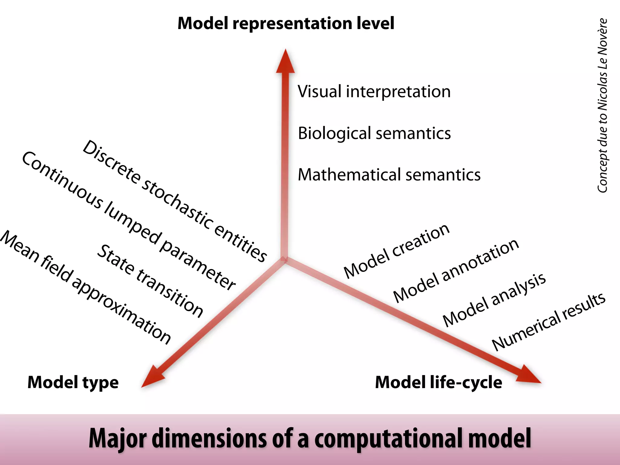 Model representation level




                                                                                                 Concept due to Nicolas Le Novère
                                                  Visual interpretation

                                                  Biological semantics
              Dis
   Co              cre
      nti             te                          Mathematical semantics
          nuo            s    toc
              us                 ha
                   lum               sti
                         pe             ce
Me                    dp           nti
                                       tie                          tion
  an          Sta          ara             s                  lc rea                ion
     fie         te            me                         ode                   tat
        ld
           ap       tra           ter                   M               la nno
             pro        ns
                           itio                                      ode             al ysis
                xim             n                                M
                                                                             de l an           ults
                                                                           Mo               res
                    ati
                       on                                                            erical
                                                                                  Num

    Model type                                              Model life-cycle


                Major dimensions of a computational model
 