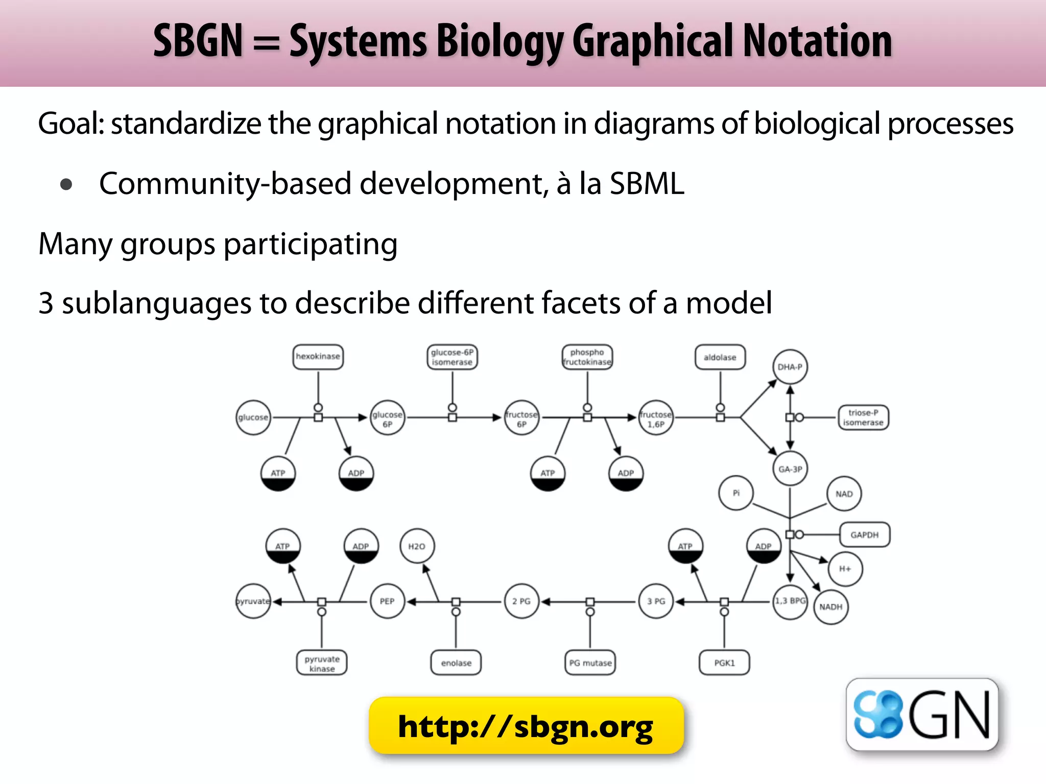 SBGN = Systems Biology Graphical Notation
Goal: standardize the graphical notation in diagrams of biological processes
 •   Community-based development, à la SBML
Many groups participating
3 sublanguages to describe diﬀerent facets of a model




                           http://sbgn.org
 