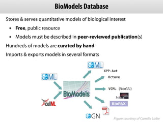 BioModels Database
Stores & serves quantitative models of biological interest
 •   Free, public resource
 •   Models must ...