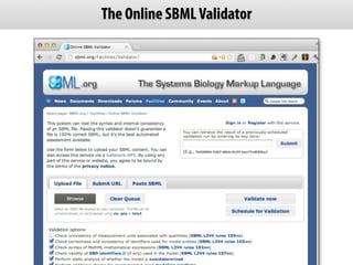 The Online SBML Validator
 