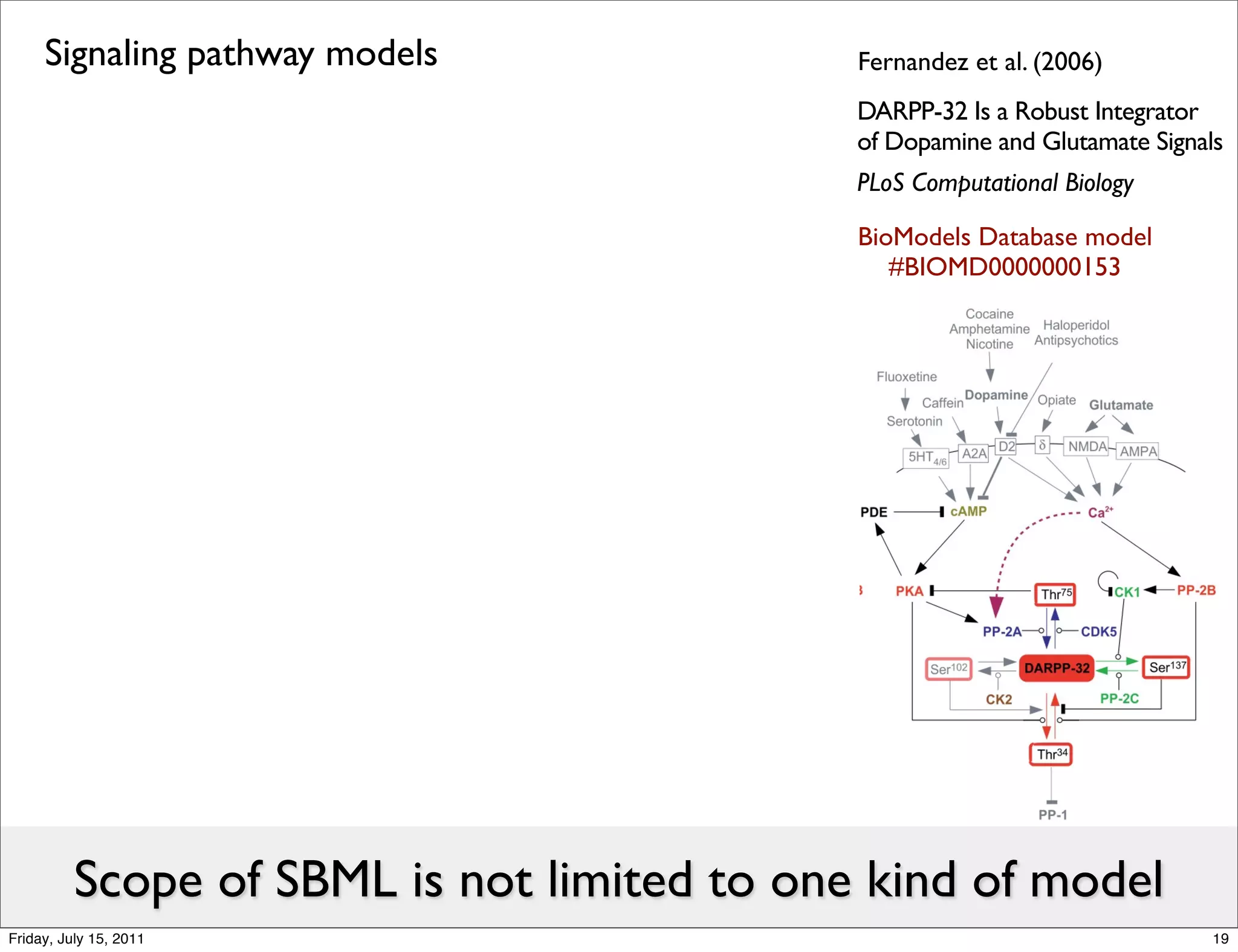Signaling pathway models                Fernandez et al. (2006)
                                             DARPP-32 Is a Robust Integrator
                                             of Dopamine and Glutamate Signals
                                             PLoS Computational Biology

                                             BioModels Database model
                                                #BIOMD0000000153




          Scope of SBML is not limited to one kind of model
Friday, July 15, 2011                                                        19
 